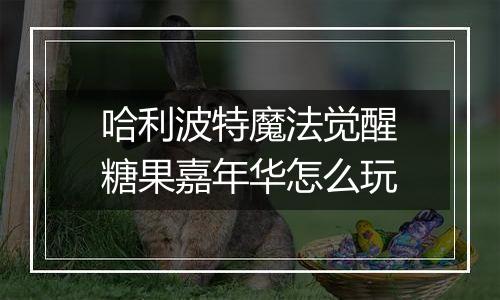 哈利波特魔法觉醒糖果嘉年华怎么玩