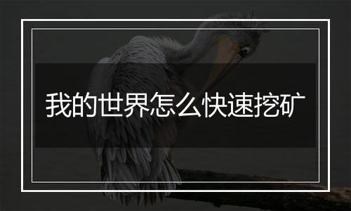 我的世界怎么快速挖矿