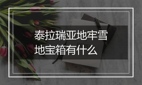 泰拉瑞亚地牢雪地宝箱有什么