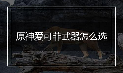 原神爱可菲武器怎么选