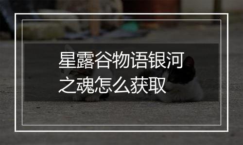 星露谷物语银河之魂怎么获取