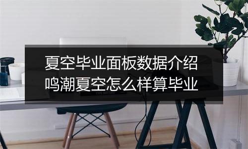 夏空毕业面板数据介绍 鸣潮夏空怎么样算毕业