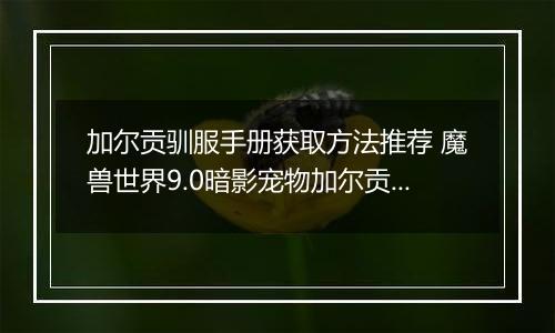 加尔贡驯服手册获取方法推荐 魔兽世界9.0暗影宠物加尔贡获取攻略