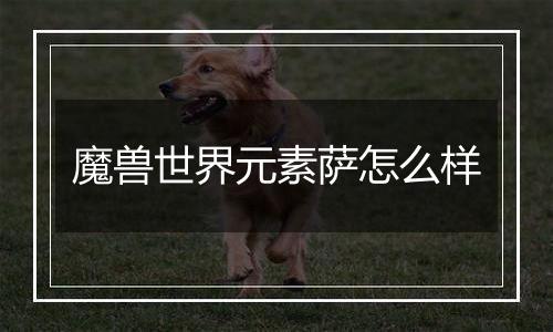 魔兽世界元素萨怎么样