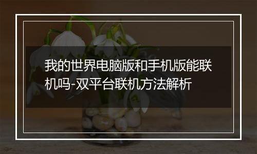 我的世界电脑版和手机版能联机吗-双平台联机方法解析