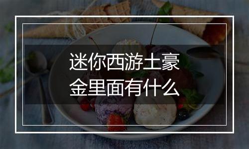 迷你西游土豪金里面有什么