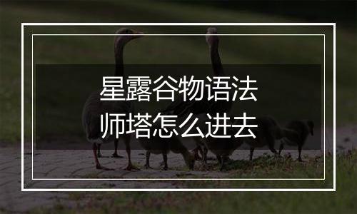 星露谷物语法师塔怎么进去