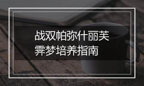 战双帕弥什丽芙霁梦培养指南