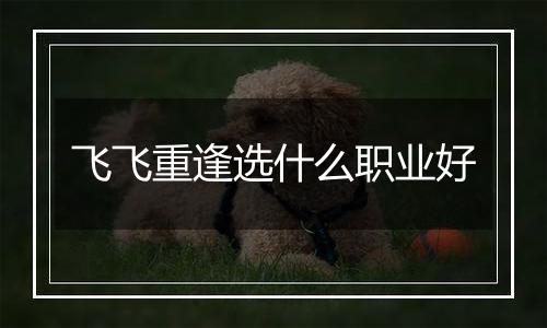 飞飞重逢选什么职业好