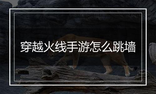 穿越火线手游怎么跳墙