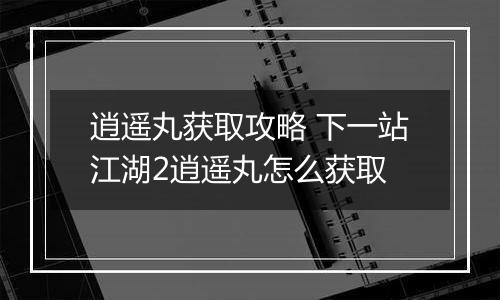 逍遥丸获取攻略 下一站江湖2逍遥丸怎么获取