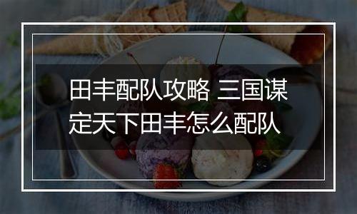 田丰配队攻略 三国谋定天下田丰怎么配队