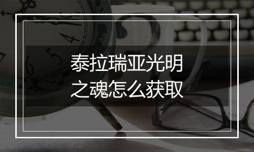 泰拉瑞亚光明之魂怎么获取