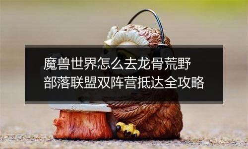 魔兽世界怎么去龙骨荒野 部落联盟双阵营抵达全攻略