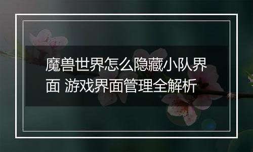 魔兽世界怎么隐藏小队界面 游戏界面管理全解析