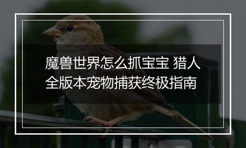 魔兽世界怎么抓宝宝 猎人全版本宠物捕获终极指南