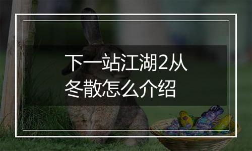 下一站江湖2从冬散怎么介绍