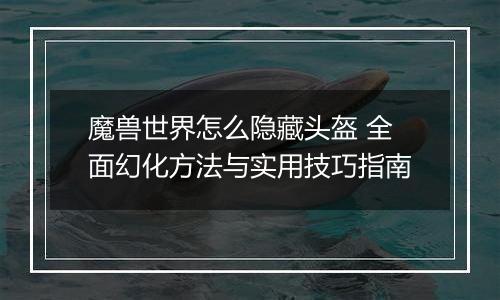 魔兽世界怎么隐藏头盔 全面幻化方法与实用技巧指南