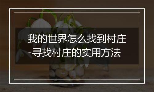 我的世界怎么找到村庄-寻找村庄的实用方法