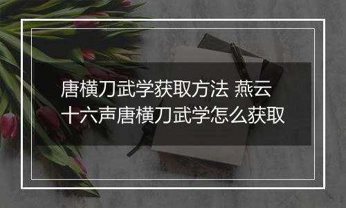 唐横刀武学获取方法 燕云十六声唐横刀武学怎么获取