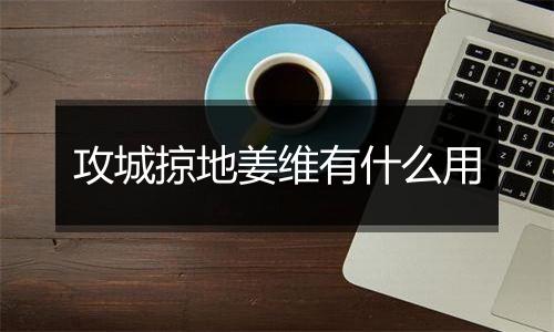 攻城掠地姜维有什么用