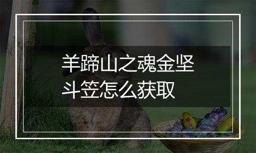 羊蹄山之魂金坚斗笠怎么获取