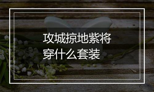 攻城掠地紫将穿什么套装