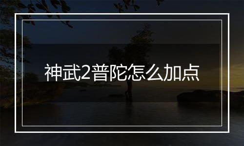 神武2普陀怎么加点