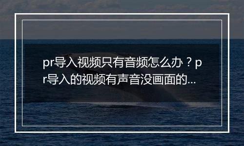 pr导入视频只有音频怎么办？pr导入的视频有声音没画面的解决方法