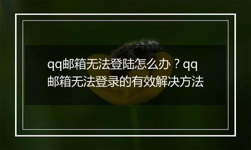 qq邮箱无法登陆怎么办？qq邮箱无法登录的有效解决方法