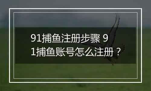 91捕鱼注册步骤 91捕鱼账号怎么注册？