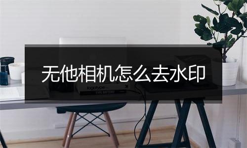 无他相机怎么去水印