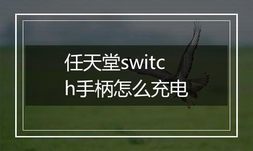 任天堂switch手柄怎么充电