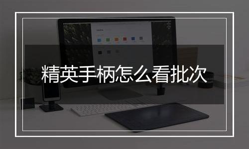 精英手柄怎么看批次