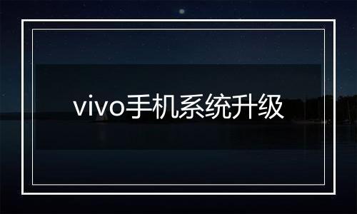 vivo手机系统升级