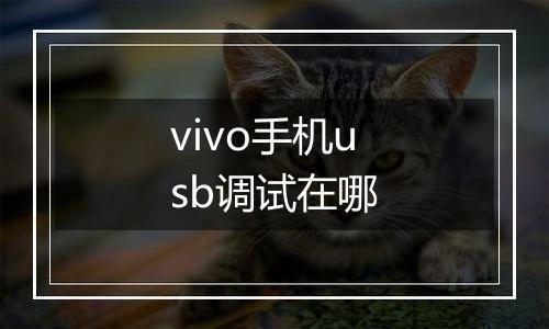 vivo手机usb调试在哪