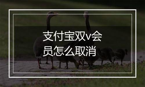 支付宝双v会员怎么取消