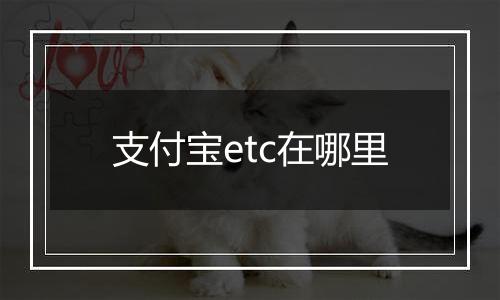 支付宝etc在哪里