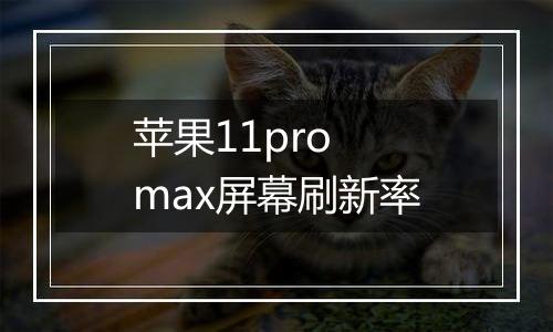 苹果11pro max屏幕刷新率