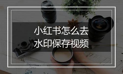 小红书怎么去水印保存视频