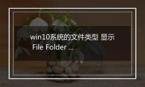 win10系统的文件类型 显示 File Folder 该怎么办？（解决方法）