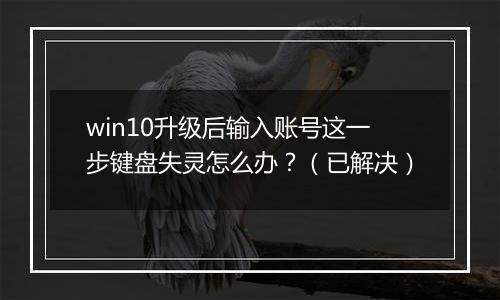 win10升级后输入账号这一步键盘失灵怎么办？（已解决）